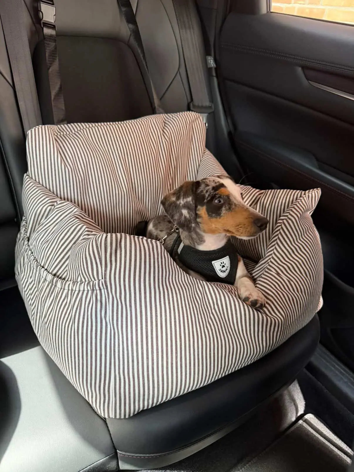 Premium Hunde Autositz – Braun mit Sicherheitsgurt Petpilot