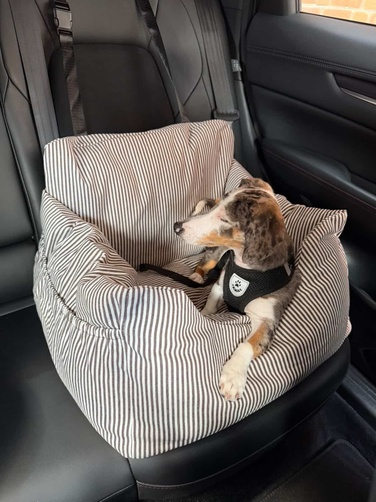 Premium Hunde Autositz – Braun mit Sicherheitsgurt