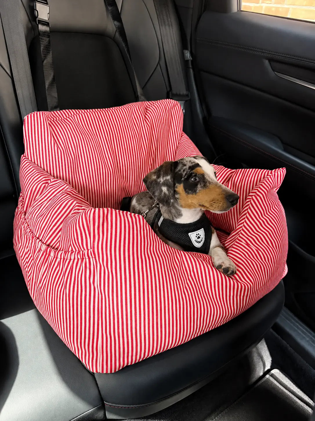 Premium Hunde Autositz – Rot mit Sicherheitsgurt Petpilot